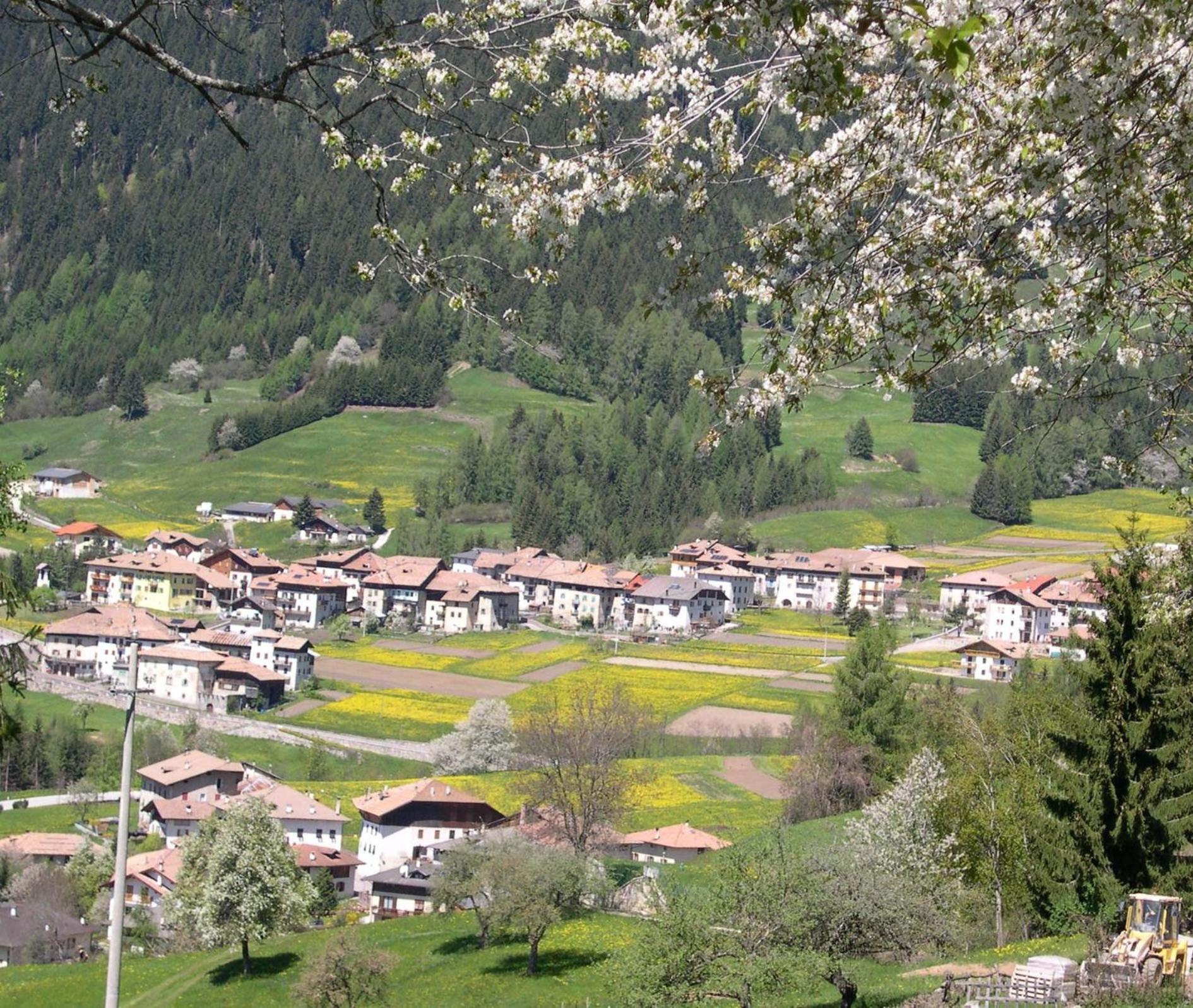 B&B Affittacamere Larix Rumo Exterior foto